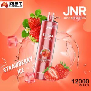 JNR SHISHA HOOKAH – WATERMELON ICE  – 12000 PUFFS