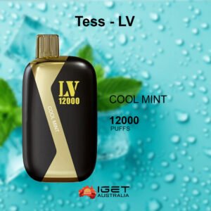TESS-LV COOL MINT – 12000 PUFFS