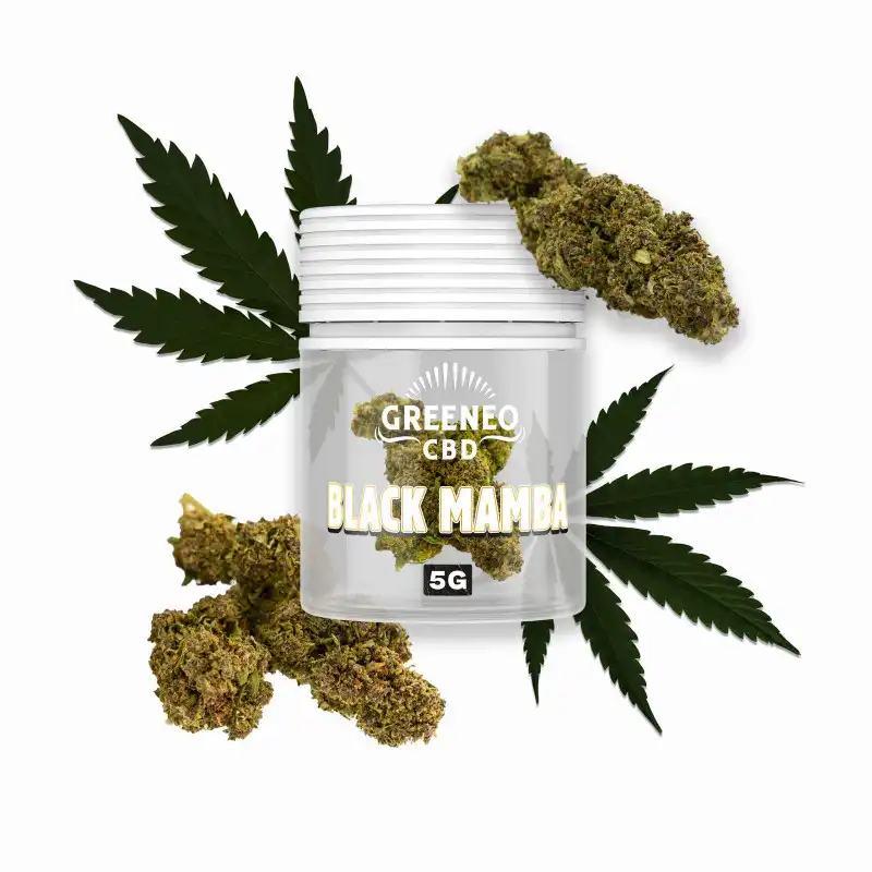 Flores CBD Black Mamba 5gr – Greeneo