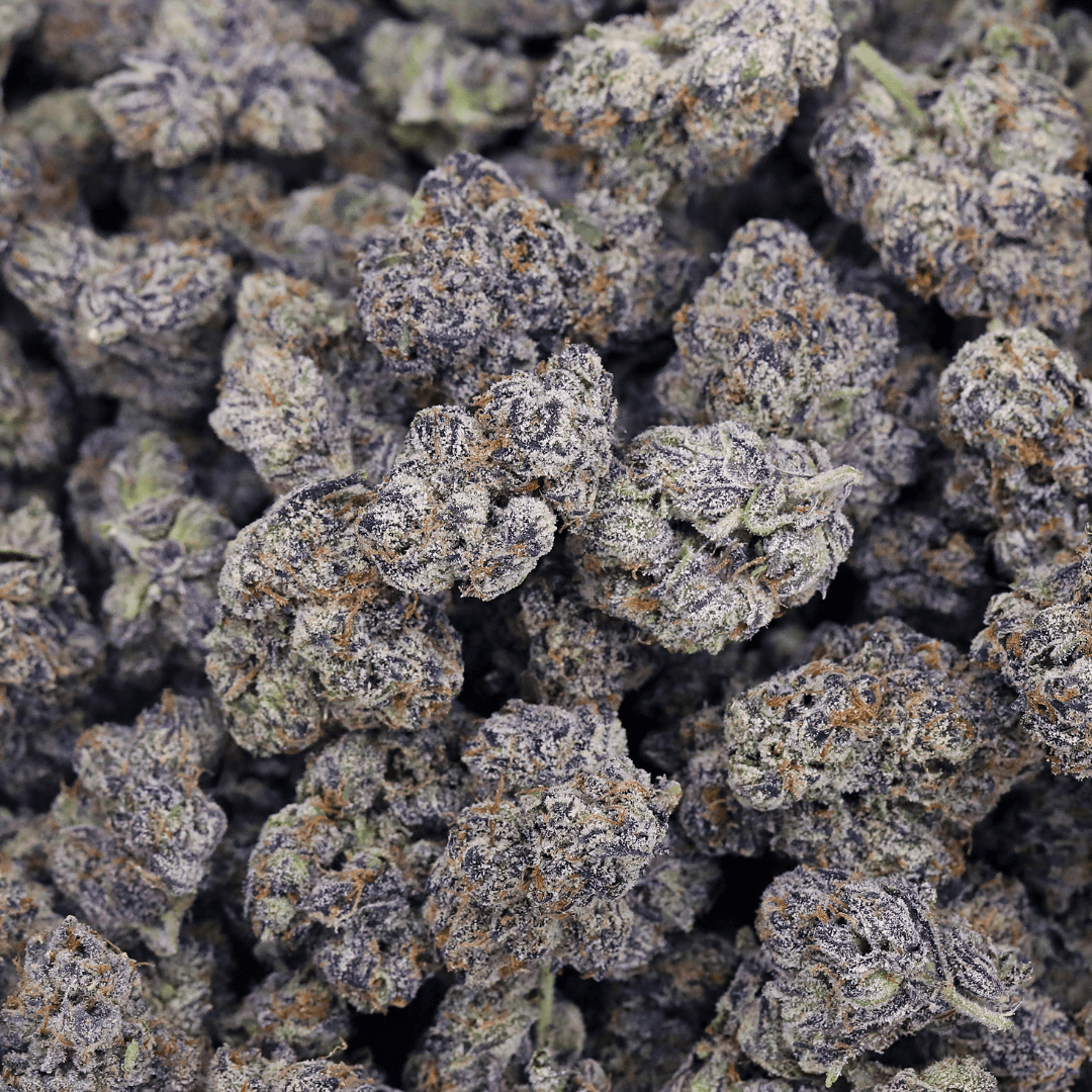 Blue Warheads THCa Flower *Exotic* - Image 2