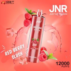 JNR SHISHA HOOKAH – RED BERRY BLUSH – 12000 PUFFS